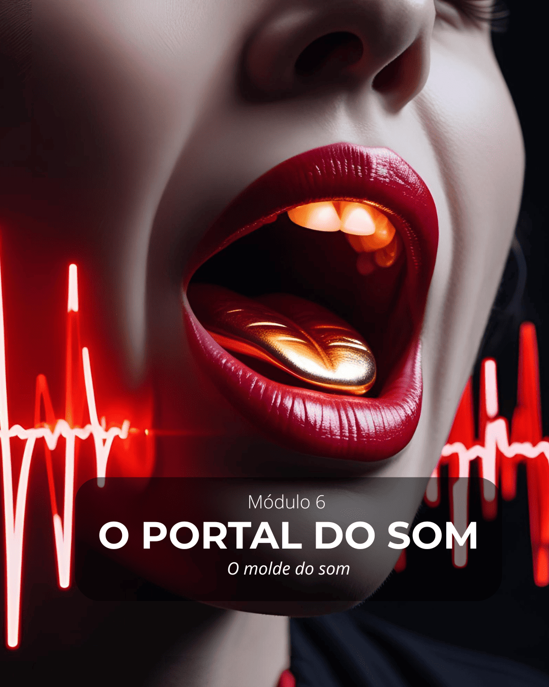 6 o portal do som